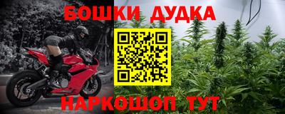индика Нальчик
