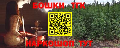 индика Нальчик