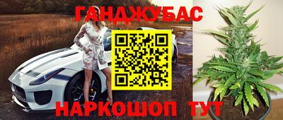 индика Нальчик