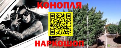 индика Нальчик