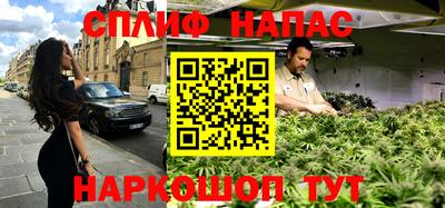 МДПВ Можга