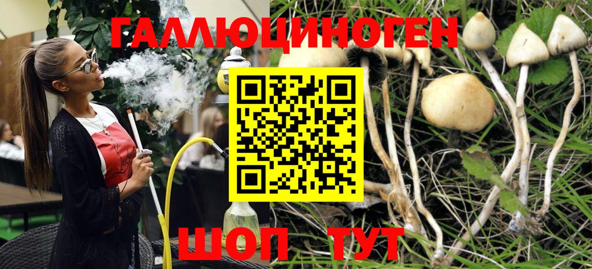 цена наркотик  Вход с VPN  Урай  Галлюциногенные грибы GOLDEN TEACHER 